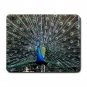 Peacock Wildlife Bird Animal Mouse Pad MousePad Mat 153