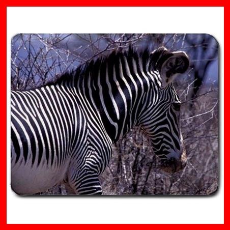 Zebra Wildlife Animal Hobby Mouse Pad MousePad Mat 165