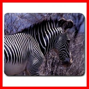 Zebra Wildlife Animal Hobby Mouse Pad MousePad Mat 165