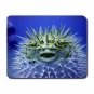 Puffer Fish Marine Animal Mouse Pad MousePad Mat 173
