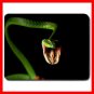 Snake Reptiles Animal Hobby Mouse Pad MousePad Mat 181