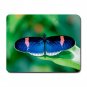Blue Butterfly Fly Insect Hobby Mouse Pad MousePad Mat 190