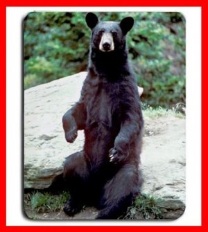 Black Bear Wild Animal Hobby Mouse Pad MousePad Mat 192