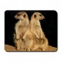 MEERKATS Wildlife Animal Mouse Mouse Pad MousePad Mat 194