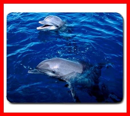 Frolicking Dolphins Animal Mouse Mouse Pad MousePad Mat 197