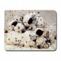 Dalmatian Puppies Dog Puppy Mouse Mouse Pad MousePad Mat 199