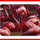 Pink Flamingo Wildlife Bird Mouse Mouse Pad MousePad Mat 205