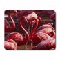 Pink Flamingo Wildlife Bird Mouse Mouse Pad MousePad Mat 205