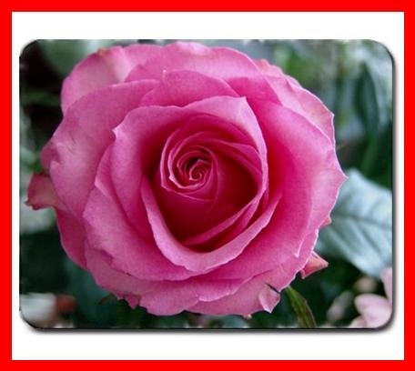 Pink Rose Flower Hobby Fun Mouse Mouse Pad MousePad Mat 211