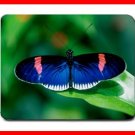 Blue Rare Butterfly Fly Insect Mouse Pad MousePad Mat 230