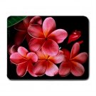 Pink Plumerias Frangipani Flower Fun Mouse Pad MousePad Mat 239