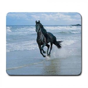 Black Horse Running on Beach Mouse Pad MousePad Mat 252