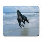 Black Horse Running on Beach Mouse Pad MousePad Mat 252