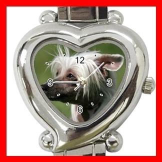 Chinese Crested Dog Pet Hobby Italian Charm Wrist Watch 066