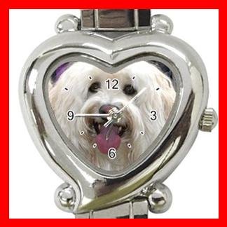 Havanese Dog Pet Hobby Italian Charm Wrist Watch 075