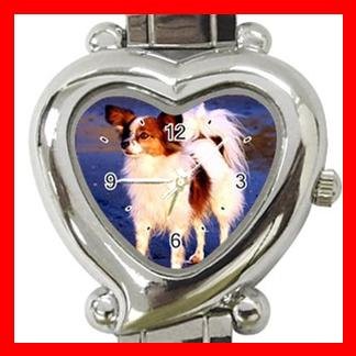 Papillon Dog Pet Hobby Italian Charm Wrist Watch 087