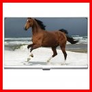 Horse Running on Beach Hobby Business Credit Card Case 17