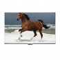 Horse Running on Beach Hobby Business Credit Card Case 17