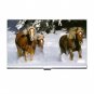 Horses Running Animals Business Credit Card Case 30