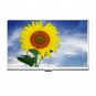 Sunflower Sun Flowers Hobby Business Credit Card Case 39
