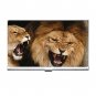 Lions Animals Business Credit Card Case 56