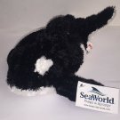 FREE SHIPPING AURORA Furry Ocean Sea World SHAMU Orca Killer WHALE 10” Plush Animal EUC w/ tag FREE SHIPPING AURORA Furry Ocean Sea World SHAMU Orca Killer WHALE 10” Plush Animal EUC w/ tag