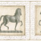 Beige Framed CRACKLE HORSE York Wall Paper Border w/ Script Writing AY6624B