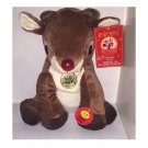 Dandee Rudolph the Red Nosed Reindeer 10" Musical & Light Up 50th Anniversary Plush NWT