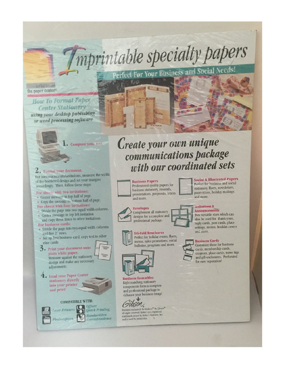 Gibson Kinkos Create Your Own BBQ or Picnic Cookout Invitation