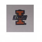 Vintage Illinois State Pin by Atco Systems Vintage Illinois State Pin by Atco Systems