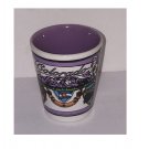 1994 Colorado Collectible Ceramic Shot Glass - The Centennial State