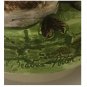 1977 Beatrix Potter Peter Rabbit Schmid Rotating Music Box Squirrel Nutkin & Owl Nutcracker Suite