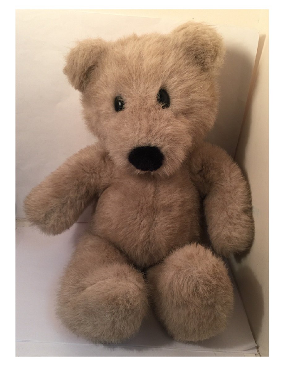 15 in teddy bear