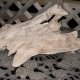 Driftwood