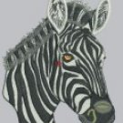 1778 Zebra