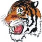 1810 Tiger