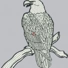 1814 eagle