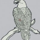1814 eagle (DST)