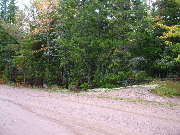 NOVA SCOTIA LAND ANNAPOLIS VALLEY TROUT LAKE POWER CABLE PHONE