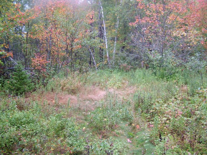 NOVA SCOTIA LAND ANNAPOLIS VALLEY TROUT LAKE POWER CABLE PHONE