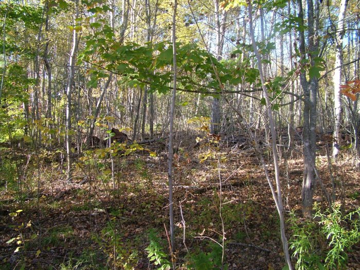 NOVA SCOTIA LAND ANNAPOLIS VALLEY TROUT LAKE POWER CABLE PHONE