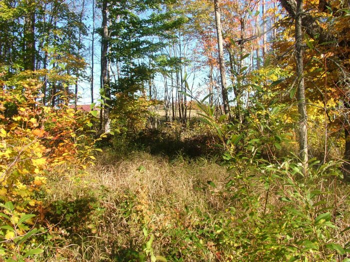 NOVA SCOTIA LAND ANNAPOLIS VALLEY TROUT LAKE POWER CABLE PHONE