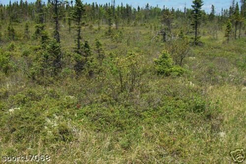 NOVA SCOTIA LAND 2.3 ACRE SOUTHERN TIP NEAR OCEAN BEACH GOLF ADJOINING 2.3 ACRES ALSO AVAILABLE