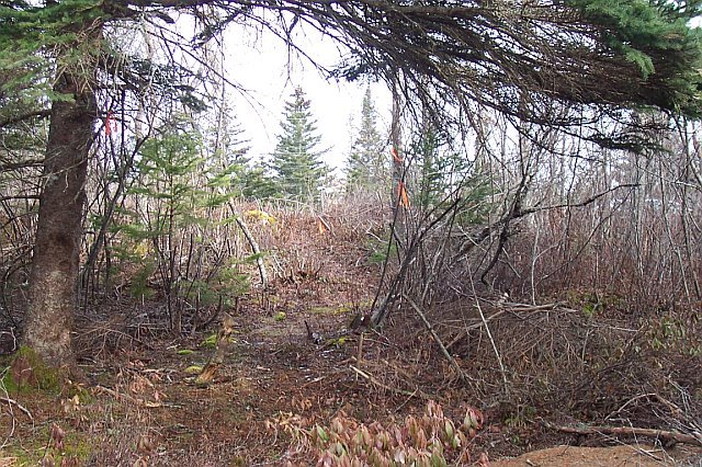 NOVA SCOTIA LAND 107 ACRES SOUTHERN TIP CLOSE TO LAKE & OCEAN POWER CABLE PHONE SUBDIVIDABLE