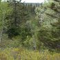 NOVA SCOTIA LAND 107 ACRES SOUTHERN TIP CLOSE TO LAKE & OCEAN POWER CABLE PHONE SUBDIVIDABLE