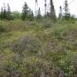 NOVA SCOTIA LAND 107 ACRES SOUTHERN TIP CLOSE TO LAKE & OCEAN POWER CABLE PHONE SUBDIVIDABLE