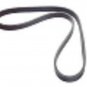 SERPENTINE BELT GMC CHEVROLET PICKUP VAN TAHOE FORD PICKUP LINCOLN MOUNTAINEER
