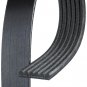 SERPENTINE BELT TOYOTA CAMRY FORD TEMPO HONDA ACCORD ISUZU I-MARK ISUZU IMPULSE