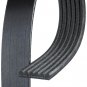 SERPENTINE BELT CHRYSLER DODGE PLYMOUTH POLY RIB PREMIUM QUALITY NOT LESSER DR