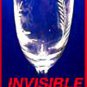 BLACKLIGHT GLOW Permanent INVISIBLE INK UV Black Light SECURITY MARKER Spy Pen